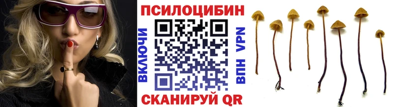 Галлюциногенные грибы Cubensis  купить наркотик  Кодинск 